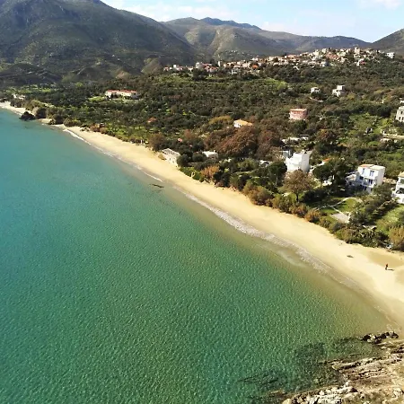 Nostalgia House * Σκουτάρι