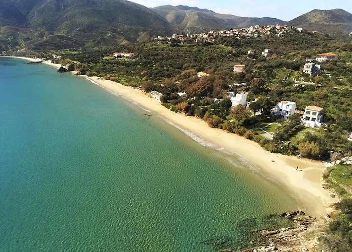 Nostalgia House * Σκουτάρι